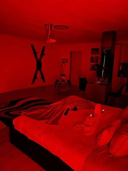 Love Room 80M2 Bdsm 50 Nuances De Grey - Sauna - Parking Gratuit Antibes 0*,  France